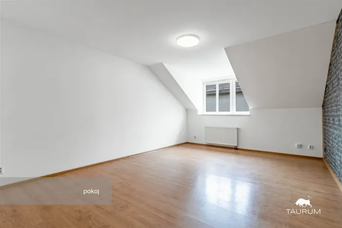 Prodej bytu 1+1, Plzeň - Jižní Předměstí, Karlova, 51 m2