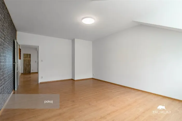 Prodej bytu 1+1, Plzeň - Jižní Předměstí, Karlova, 51 m2