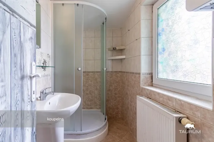 Prodej bytu 1+1, Plzeň - Jižní Předměstí, Karlova, 51 m2