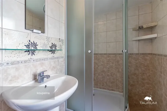 Prodej bytu 1+1, Plzeň - Jižní Předměstí, Karlova, 51 m2