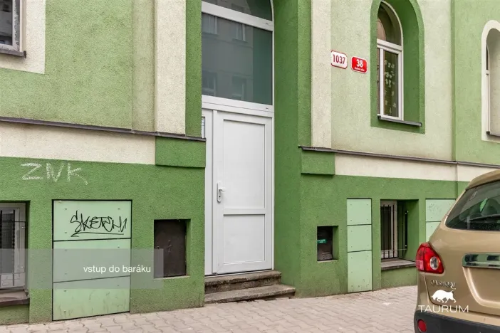 Prodej bytu 1+1, Plzeň - Jižní Předměstí, Karlova, 51 m2