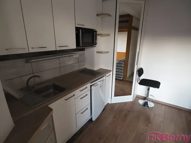 Pronájem bytu 1+kk, Brno, Úvoz, 22 m2