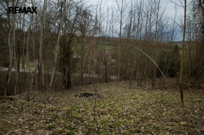 Prodej zahrady, Brtnice, 2388 m2