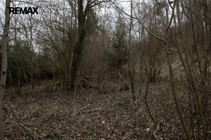 Prodej zahrady, Brtnice, 2388 m2