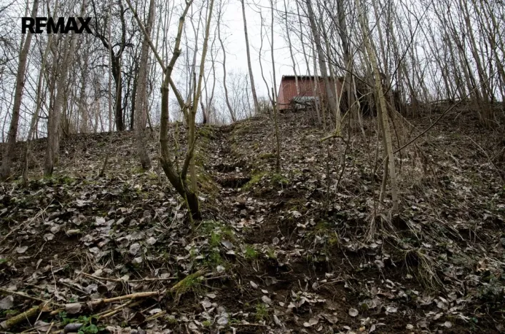 Prodej zahrady, Brtnice, 2388 m2