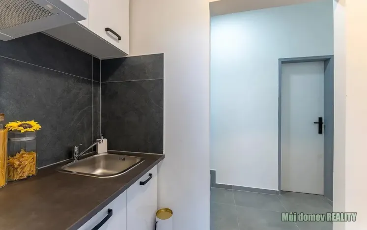 Pronájem bytu 2+1, Praha - Břevnov, Na břevnovské pláni, 30 m2