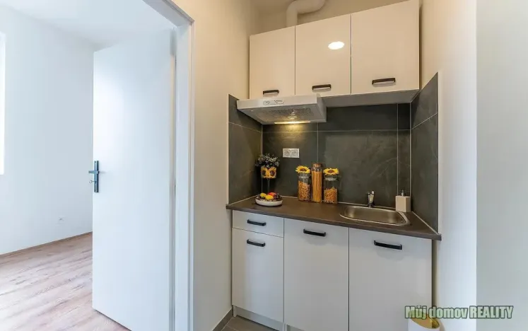 Pronájem bytu 2+1, Praha - Břevnov, Na břevnovské pláni, 30 m2