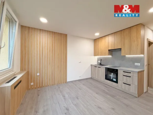 Prodej bytu 1+kk, České Budějovice - České Budějovice 3, Plzeňská, 21 m2