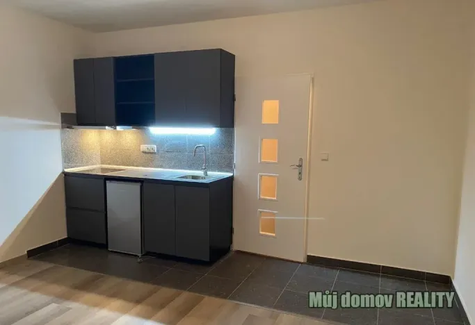 Pronájem bytu 1+kk, Praha - Vysočany, Freyova, 22 m2