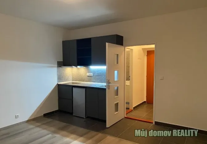Pronájem bytu 1+kk, Praha - Vysočany, Freyova, 22 m2