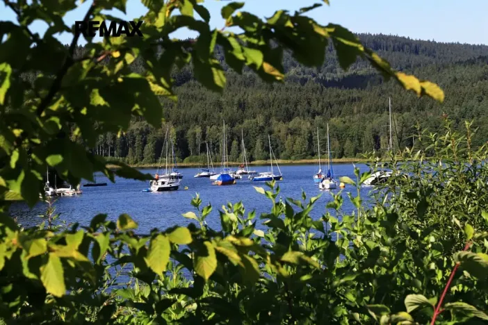 Prodej komerčního pozemku, Přední Výtoň, 2890 m2