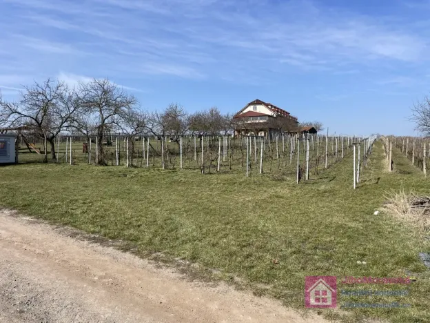 Prodej sadu/vinice, Rakvice, Horní, 9203 m2