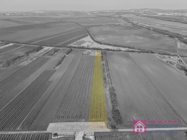 Prodej sadu/vinice, Rakvice, Horní, 9203 m2