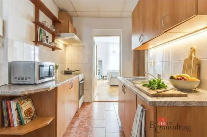 Prodej bytu 2+kk, Praha - Žižkov, Hartigova, 54 m2