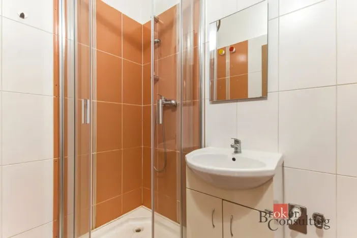 Prodej bytu 3+kk, Praha - Žižkov, Hartigova, 83 m2