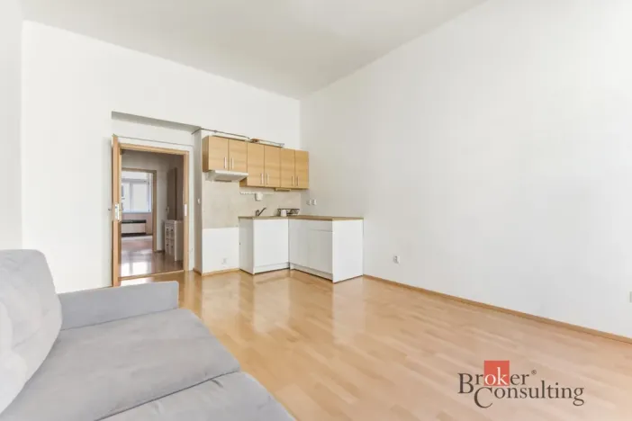 Prodej bytu 2+kk, Praha - Žižkov, Hartigova, 53 m2