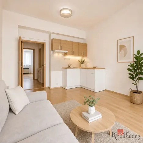 Prodej bytu 2+kk, Praha - Žižkov, Hartigova, 53 m2