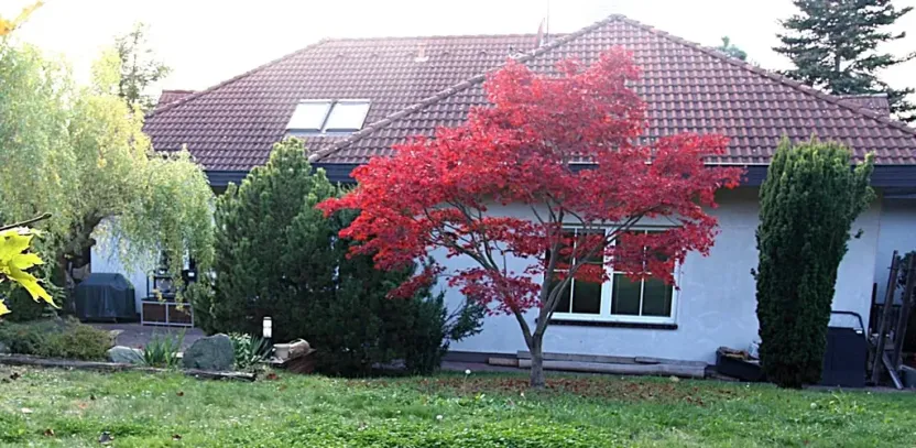 Pronájem rodinného domu, Psáry, Pod Skalkou, 300 m2