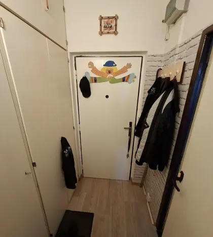 Prodej bytu 1+1, Brno, Halasovo náměstí, 29 m2