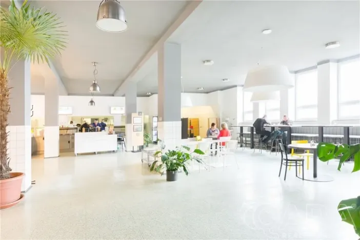 Pronájem kanceláře, Písek, U Vodárny, 614 m2