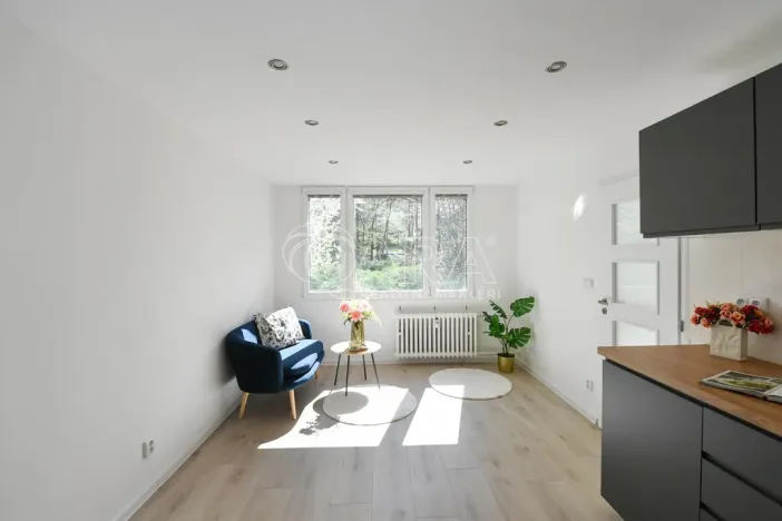 Prodej bytu 2+kk, Praha - Krč, Hurbanova, 39 m2