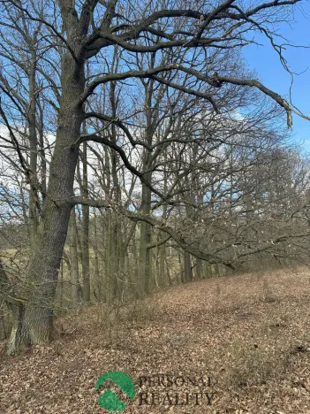 Prodej lesa, Hořovičky - Hokov, 43588 m2