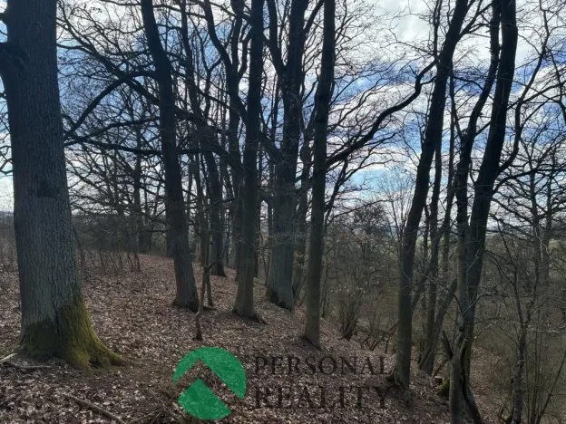 Prodej lesa, Hořovičky - Hokov, 43588 m2