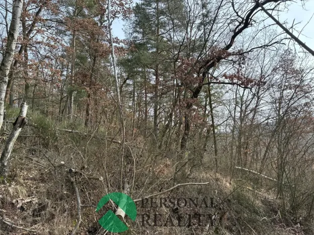 Prodej lesa, Hořovičky - Hokov, 43588 m2
