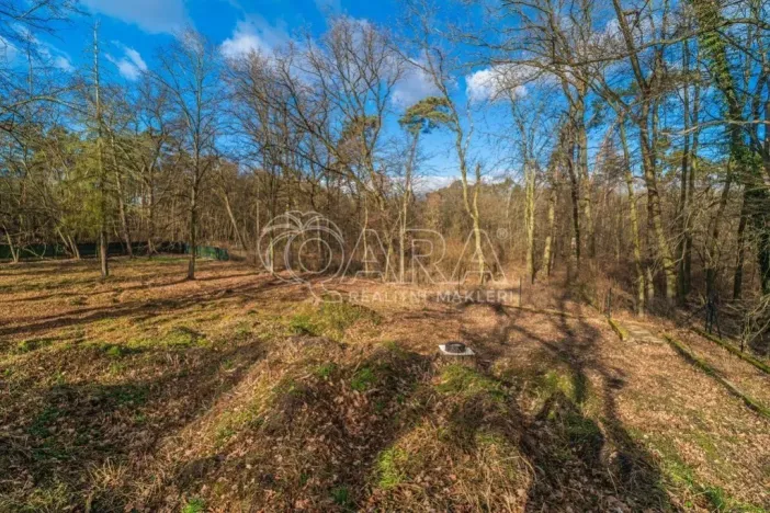 Prodej pozemku pro bydlení, Ovčáry, 6090 m2