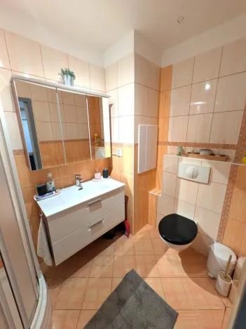 Prodej bytu 2+1, Most, M. G. Dobnera, 54 m2