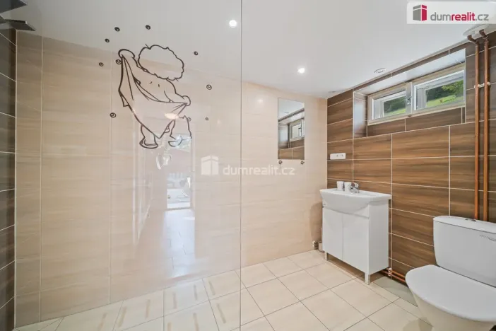 Prodej chalupy, Rokytnice nad Jizerou - Dolní Rokytnice, 460 m2