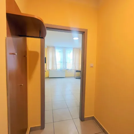 Pronájem bytu 2+kk, Karlovy Vary - Rybáře, Sokolovská, 48 m2