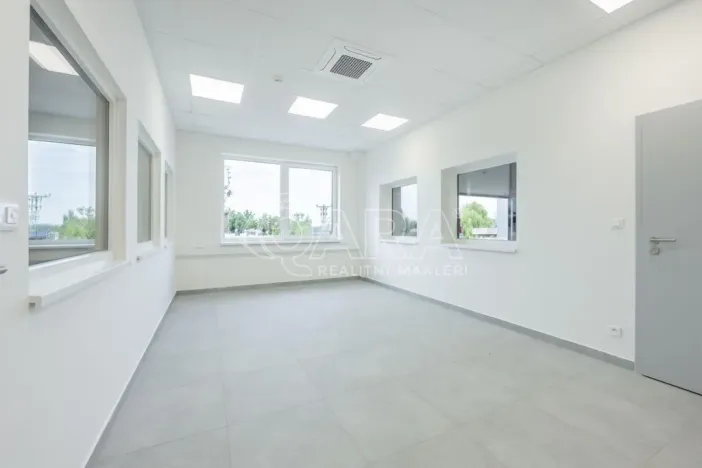 Pronájem skladu, Divišov, 2922 m2