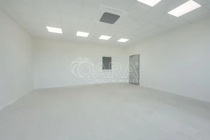 Pronájem skladu, Divišov, 2922 m2