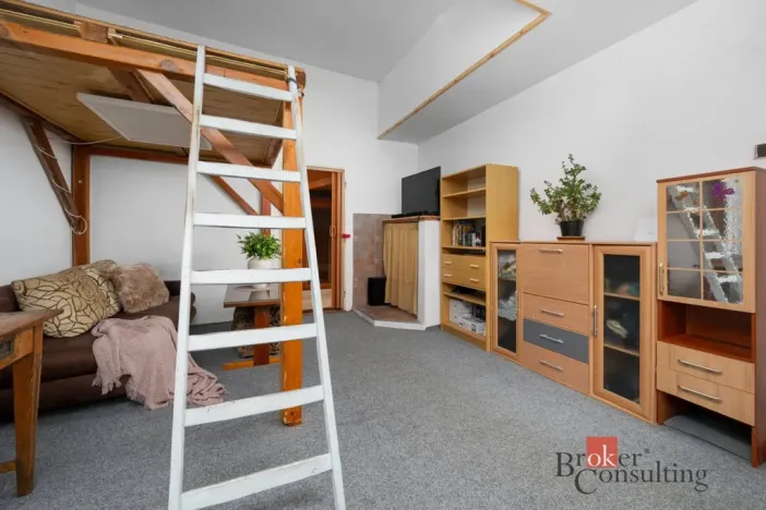 Prodej rodinného domu, Janov nad Nisou, 379 m2