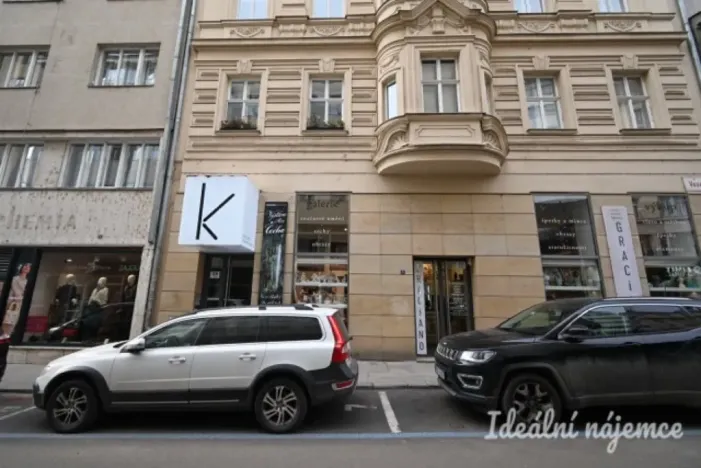 Pronájem bytu 2+1, Brno - Brno-město, Veselá, 53 m2