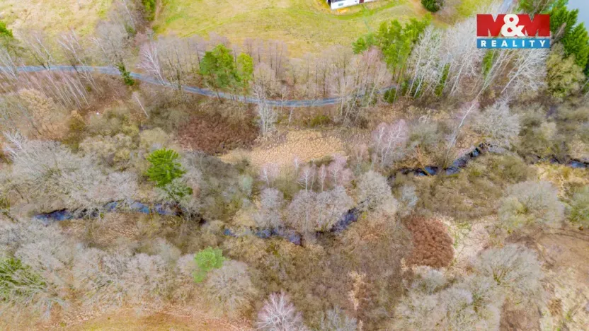 Prodej rybníku, Dvory nad Lužnicí, 8649 m2