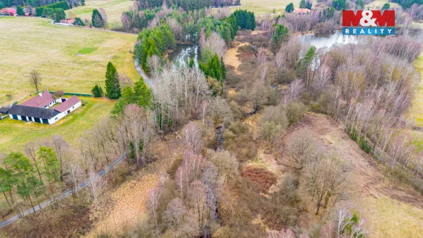 Prodej rybníku, Dvory nad Lužnicí, 8649 m2