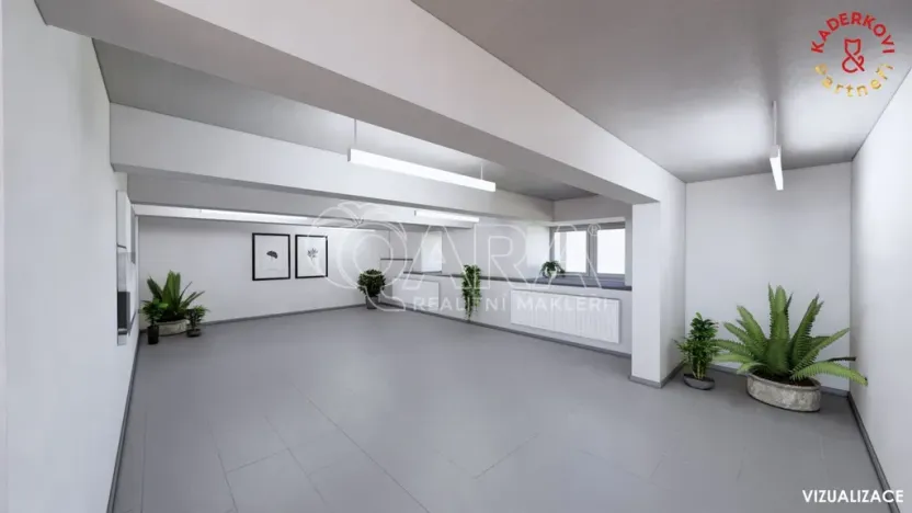 Prodej obchodního prostoru, Brno, Lidická, 172 m2