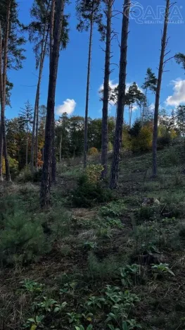 Prodej lesa, Štěchovice, 8586 m2