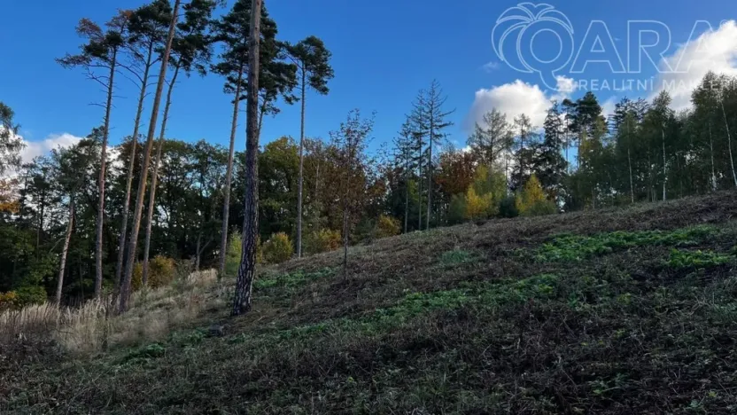 Prodej lesa, Štěchovice, 8586 m2
