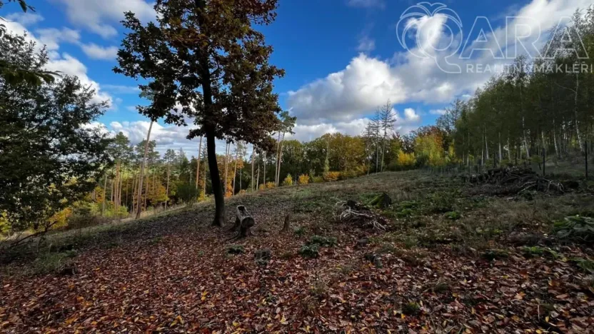Prodej lesa, Štěchovice, 8586 m2