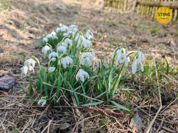 Prodej rodinného domu, Jakubovice, 120 m2