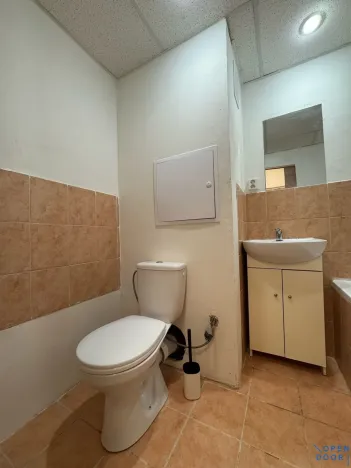 Pronájem bytu 1+kk, Most, K. H. Borovského, 26 m2