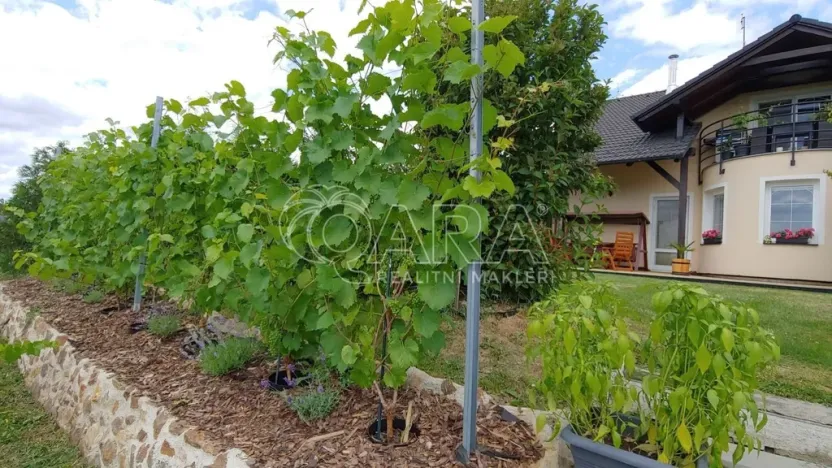 Prodej rodinného domu, Srubec, 334 m2