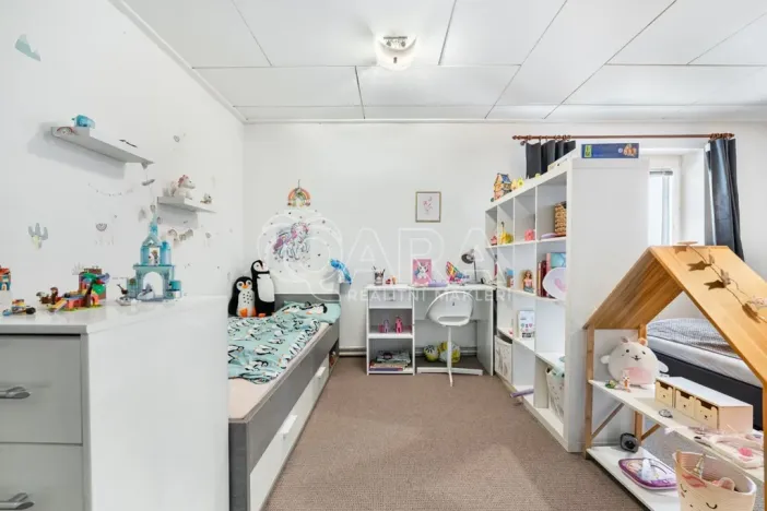 Prodej komerční nemovitosti, Česká Skalice - Spyta, 392 m2