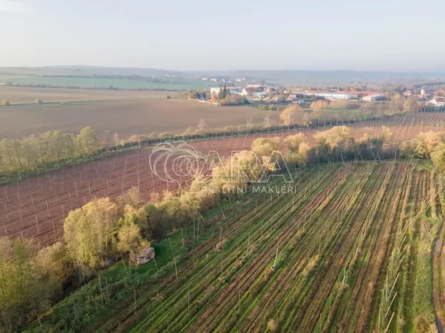 Prodej ubytování, Kolešov, 21 m2