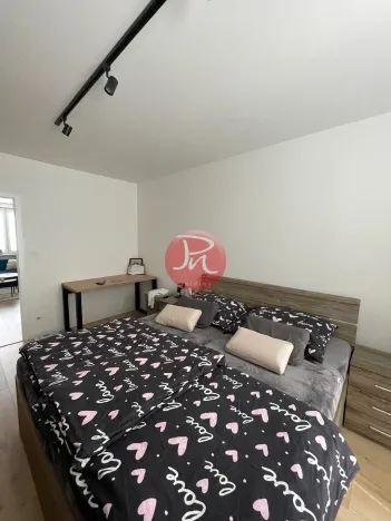 Pronájem bytu 2+kk, Ostrava, Opavská, 50 m2