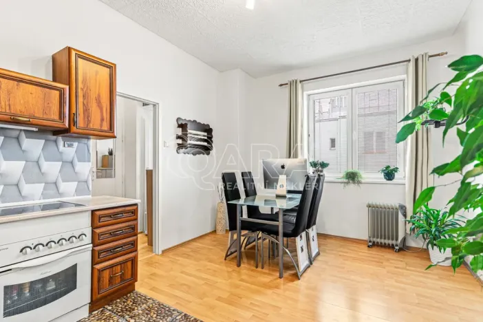 Prodej bytu 1+1, Praha - Veleslavín, Evropská, 45 m2