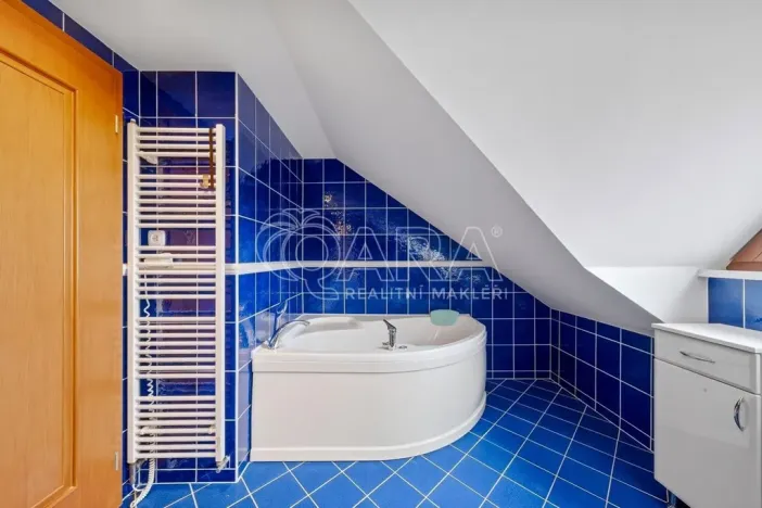 Prodej rodinného domu, Horní Moštěnice, Havlíčkova, 350 m2